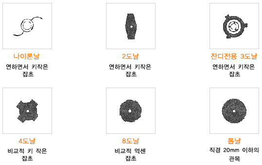 이미지명