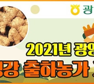 [유튜브] 생강 재배농가 교육 및 종자공급